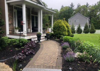 In our one-year-old Bolton, MA garden, I replaced a few plants that didn’t make it through winter. This garden has a lot of purple!!!