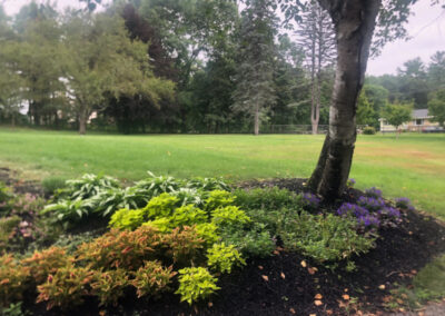 Garden Installation in South Nashua, NH Progress Report. We returned to this garden in South Nashua, NH to check on the progress of the beautiful annuals we planted.