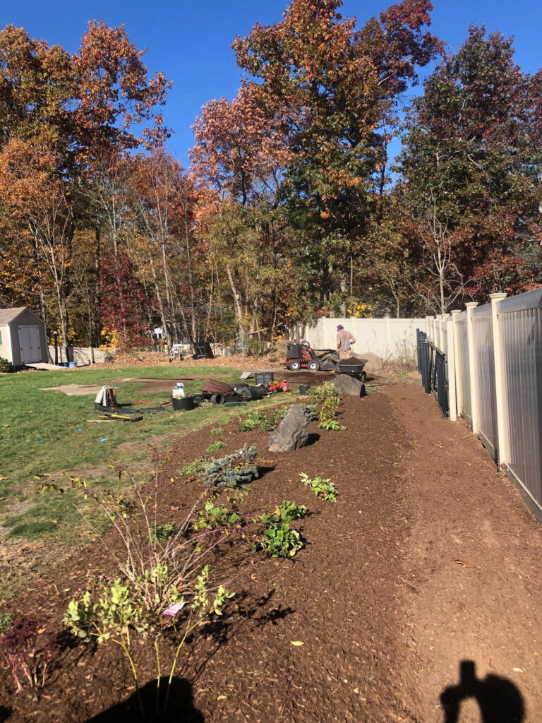 On Day 4, the crew planted 196 perennials and spread 7 yards of dark pine Mulch.