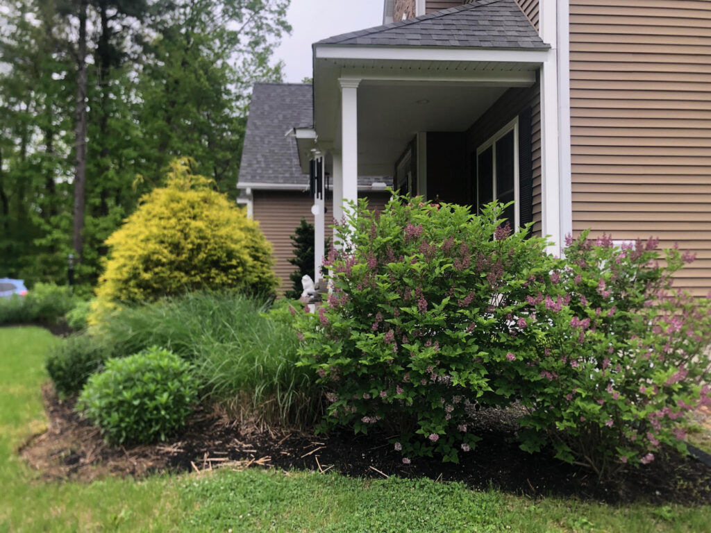 Garden Maintenance in Bolton, MA