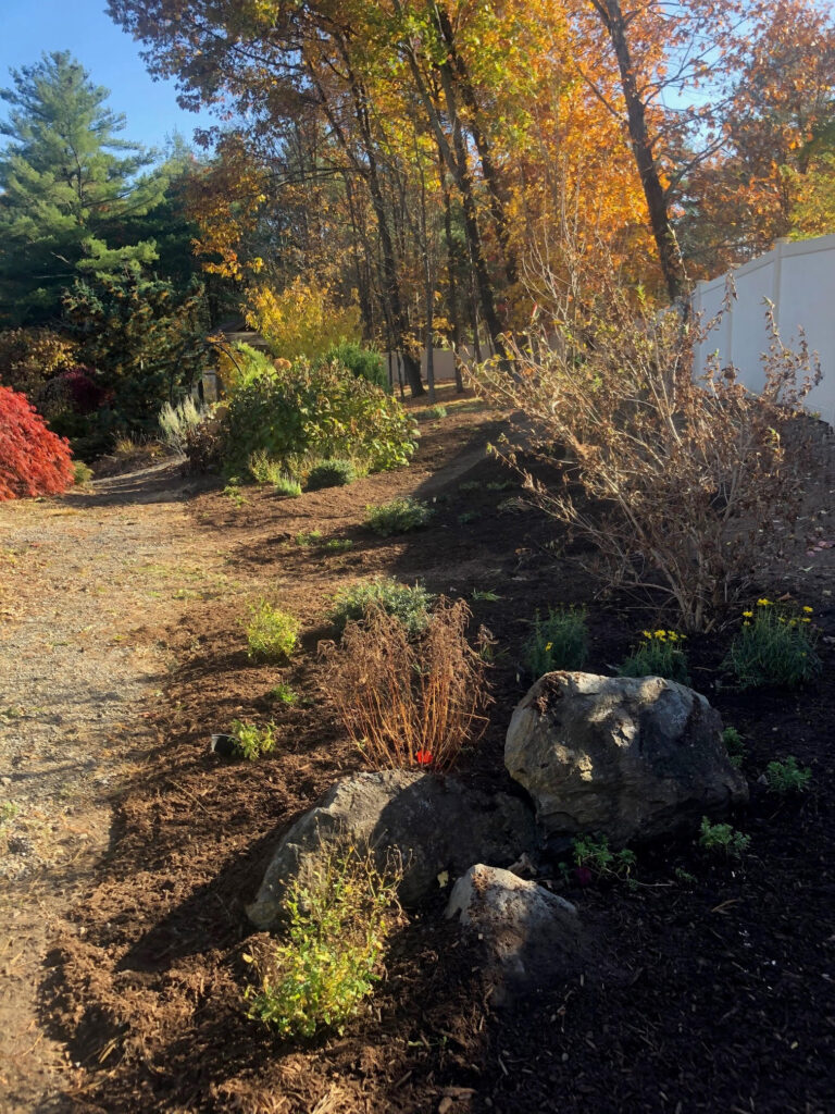 On Day 4, the crew planted 196 perennials and spread 7 yards of dark pine Mulch.