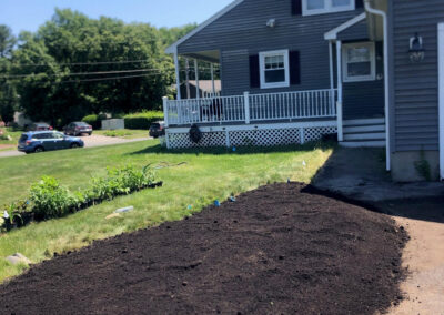 We were called in to see if this old garden in Billerica, MA with bittersweet could be saved. I said the best bet is to dig everything up and go down 8” deep. The Dingo made short work of removing the 7 yards of soil and then replacing it. The new 30 summer focused flowering perennials made the bunnies mad because the fence will keep them out!! This garden took 6 hours to complete.