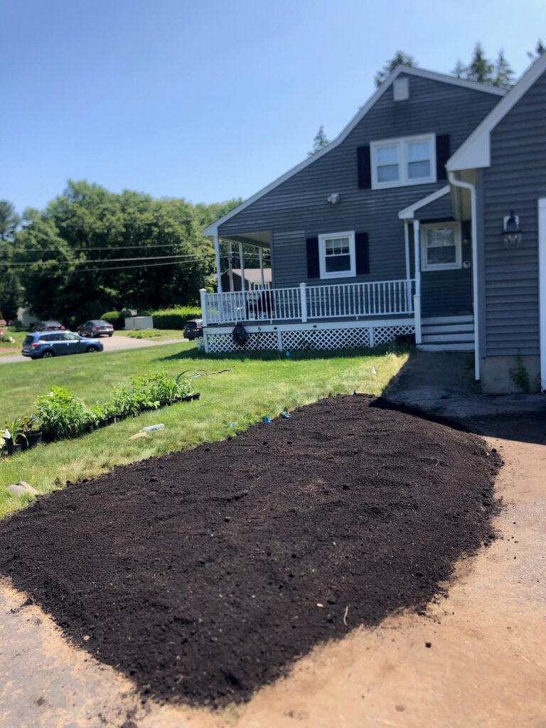 We were called in to see if this old garden in Billerica, MA with bittersweet could be saved. I said the best bet is to dig everything up and go down 8” deep. The Dingo made short work of removing the 7 yards of soil and then replacing it. The new 30 summer focused flowering perennials made the bunnies mad because the fence will keep them out!! This garden took 6 hours to complete.
