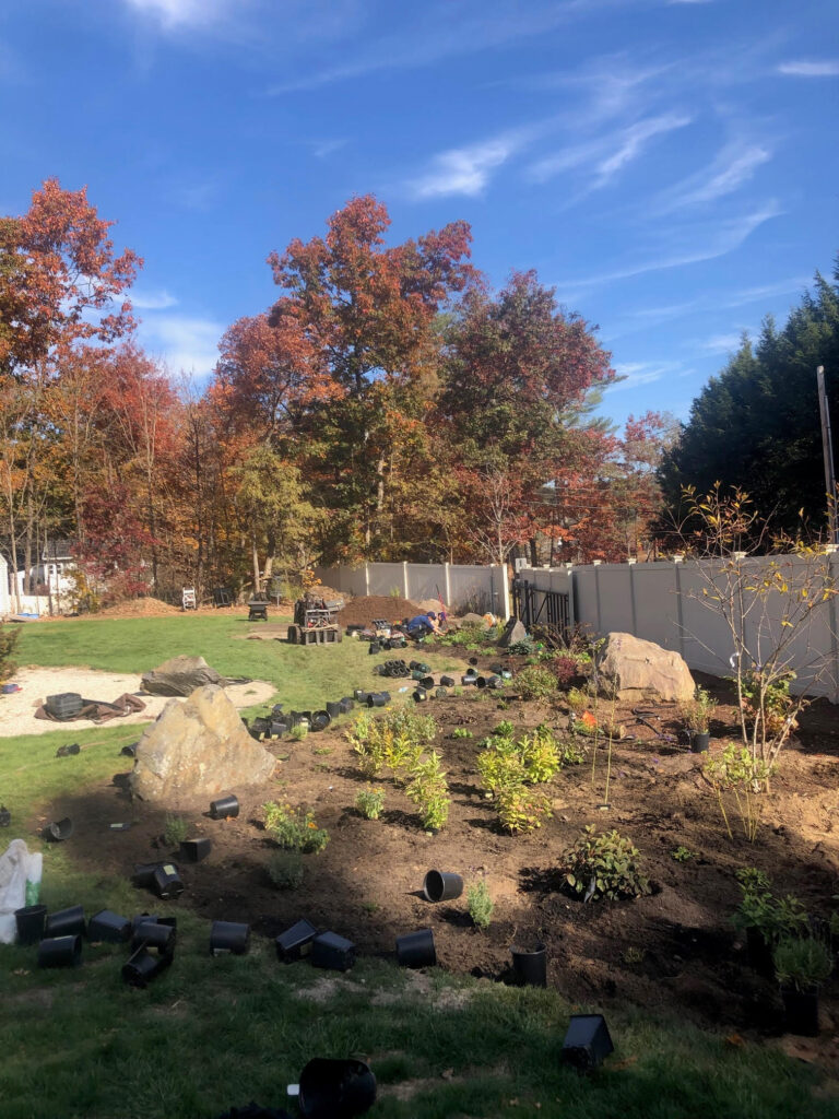 On Day 4, the crew planted 196 perennials and spread 7 yards of dark pine Mulch.