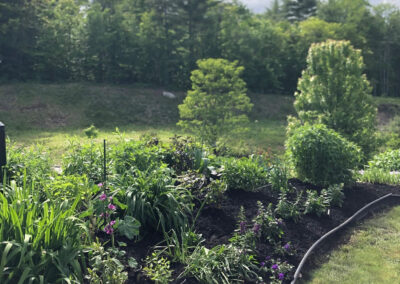 At our 6-year-old North Conway, NH gardens we added 15 annuals, 30 perennials, and 4 yards of black mulch. It took 2 gentlemen 8 hours to complete the renovations.
