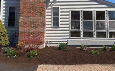 Spring Garden Maintenance in Westford, MA