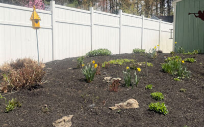 Garden Renovation and Seasonal Enhancements in Hudson, NH