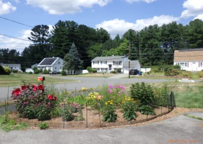 Bunny Proof Gardens in Billerica, MA